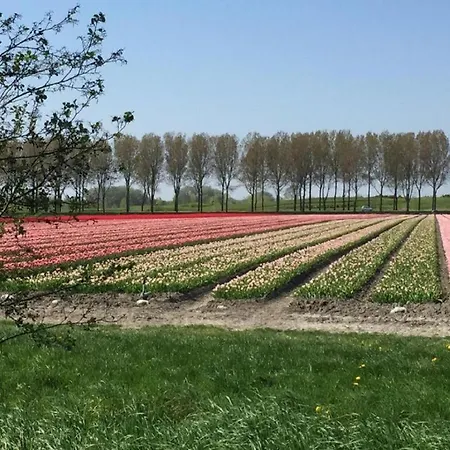 Rekerlanden 104 * Schoorldam